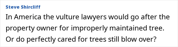 Caça aos ovos de Páscoa se transforma em pesadelo para jovem mãe, bebê e adolescente