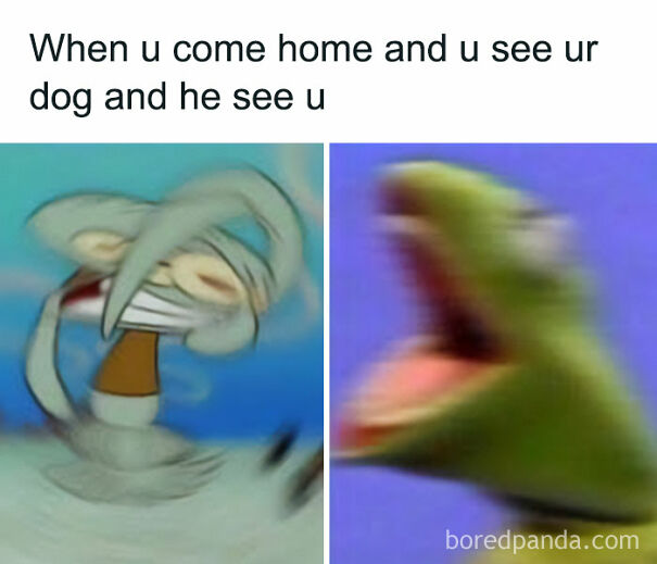 Wholesome-Cute-Memes