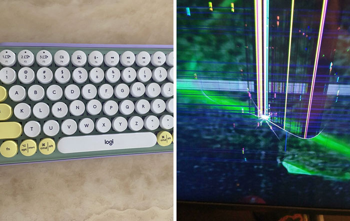 65 Times People Were So Appalled By Their Siblings, They Questioned If They Really Had The Same Parents (New Pics)