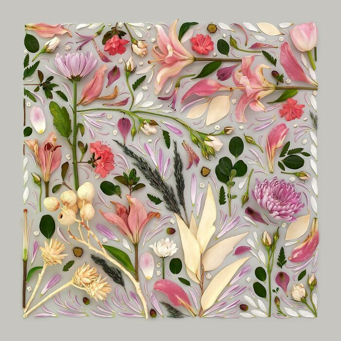 Pretty In Pink, Purple, And Peach