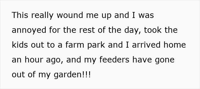 Tenant Mortified After Noticing Landlady Removes Her Bird Feeders, Considers Involving Police
