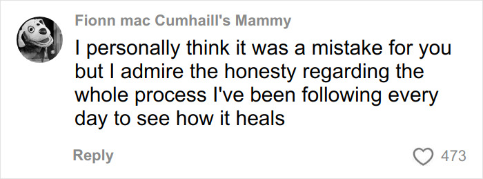 A comment from "Fionn mac Cumhaill's Mammy" on a facelift debate, with a sad dog avatar.