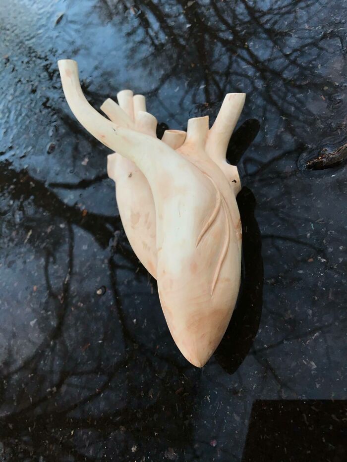 Fantastical Wood Creatures Tach Pollard