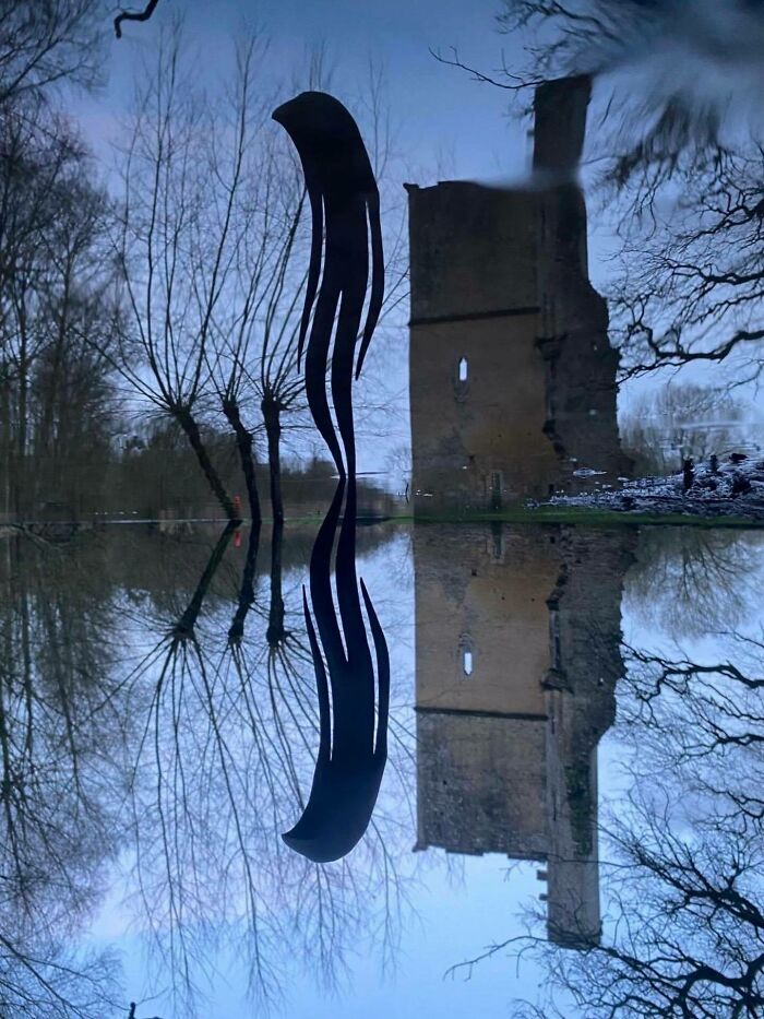 Fantastical Wood Creatures Tach Pollard