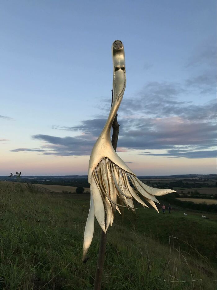 Fantastical Wood Creatures Tach Pollard