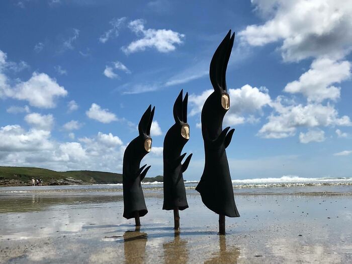 Fantastical Wood Creatures Tach Pollard