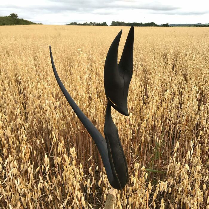 Fantastical Wood Creatures Tach Pollard