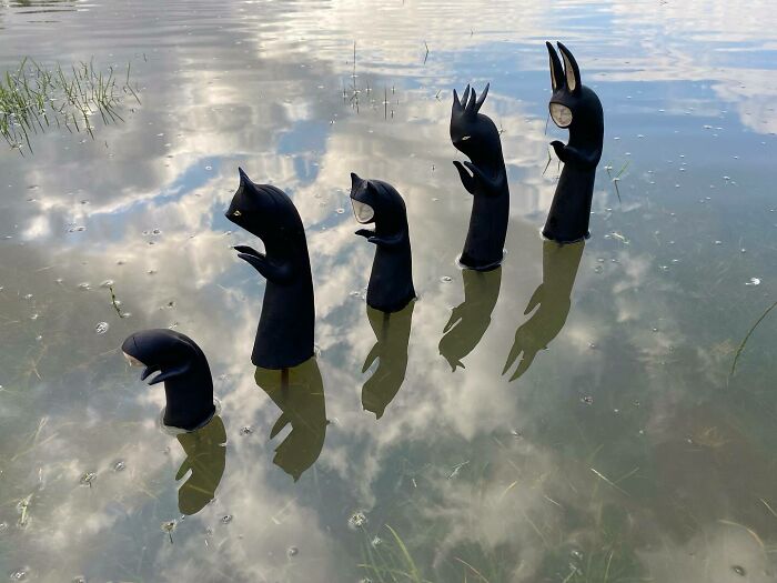 Fantastical Wood Creatures Tach Pollard