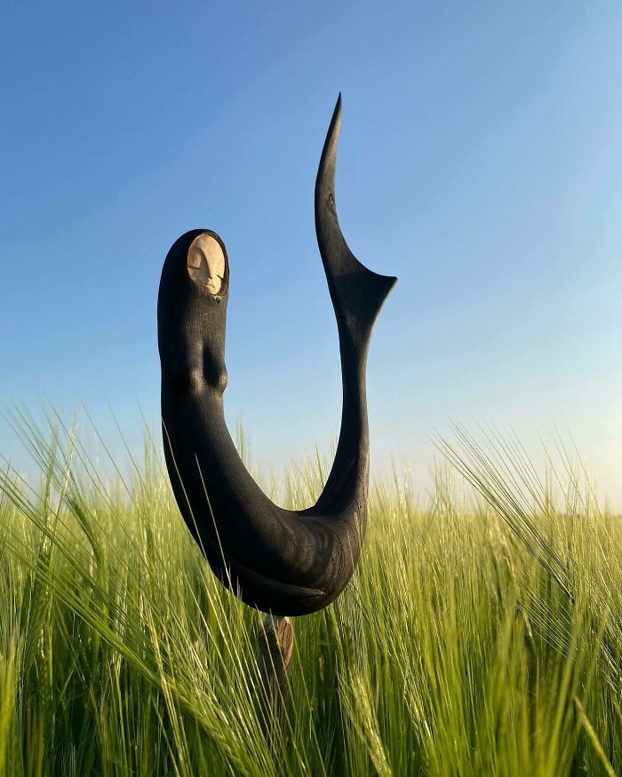 Fantastical Wood Creatures Tach Pollard