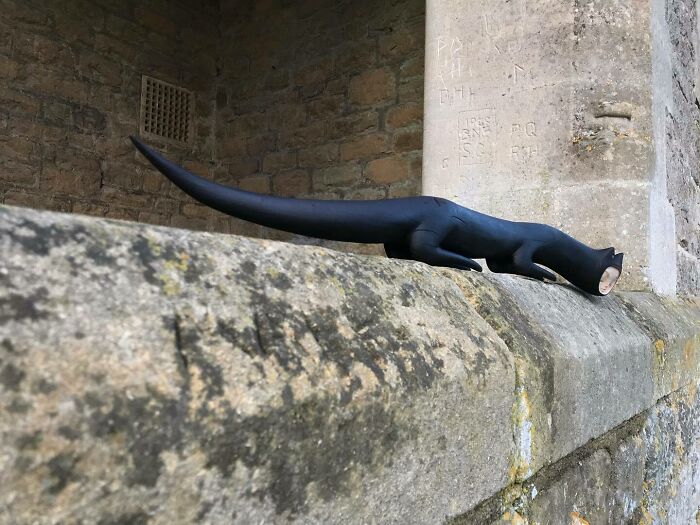 Fantastical Wood Creatures Tach Pollard