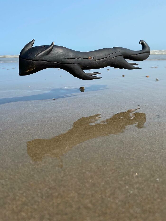 Fantastical Wood Creatures Tach Pollard