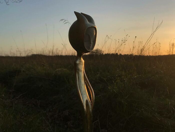 Fantastical Wood Creatures Tach Pollard