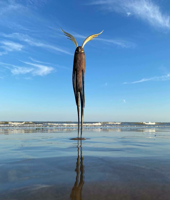 Fantastical Wood Creatures Tach Pollard