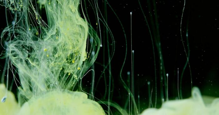 “What’s Science And What’s Myth?”: Take This 20-Question Quiz And Prove You Know The Truth