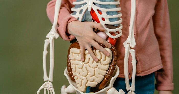 “How Well Do You Really Know The Human Body?”: Answer All 29 Science Questions