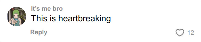 FedEx Driver’s Chilling Searches About His Delivery Truck Emerge After Taking Life Of Athena Strand FedEx Driver’s Chilling Searches About His Delivery Truck Emerge After Taking Life Of Athena Strand