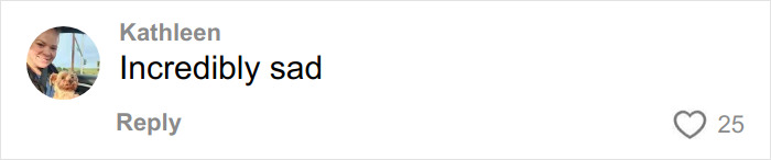 FedEx Driver’s Chilling Searches About His Delivery Truck Emerge After Taking Life Of Athena Strand FedEx Driver’s Chilling Searches About His Delivery Truck Emerge After Taking Life Of Athena Strand