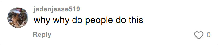 FedEx Driver’s Chilling Searches About His Delivery Truck Emerge After Taking Life Of Athena Strand FedEx Driver’s Chilling Searches About His Delivery Truck Emerge After Taking Life Of Athena Strand