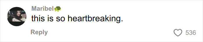 Postagem final assustadora de triatleta glamoroso surge após a tragédia do Texas Ironman