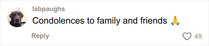 Postagem final assustadora de triatleta glamoroso surge após a tragédia do Texas Ironman