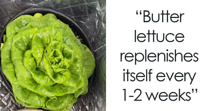 “Unlocked A Whole New World”: 77 Frugal Tips We Need More Than Ever In This Economy (New Pics)