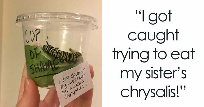95 Adorable Pets Who Were Shamed For Breaking The Rules