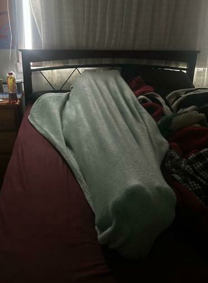 Person caught sleeping wrapped tightly in a blanket on a bed, illustrating hilarious and unhinged sleeping positions.