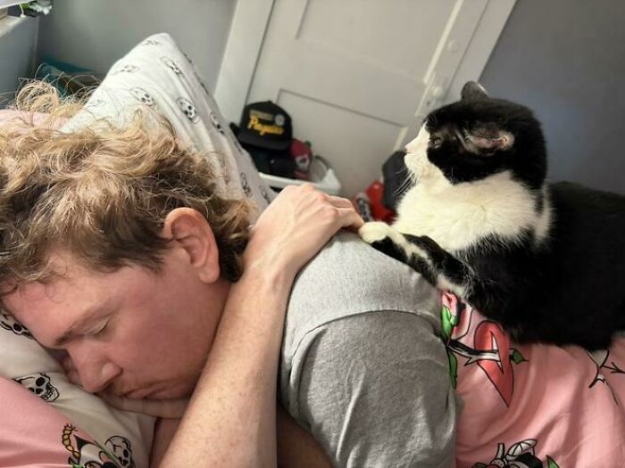 Person caught sleeping on a bed with a cat resting its paw on their shoulder in a humorous and unhinged way.