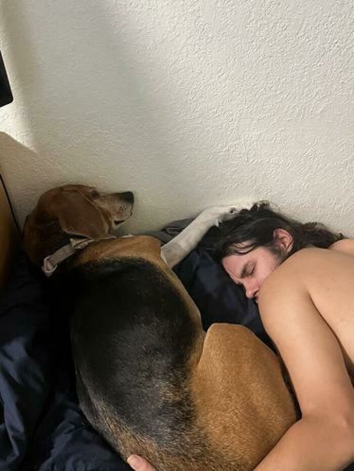 Young man and dog caught sleeping together in a cozy bed, showcasing funny and unhinged sleeping moments.