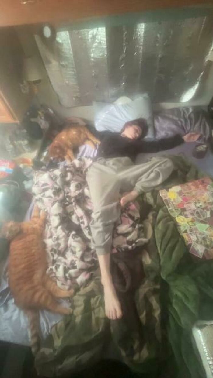 Person and three cats caught sleeping in hilarious and unhinged ways sprawled across a bed with blankets and pillows.