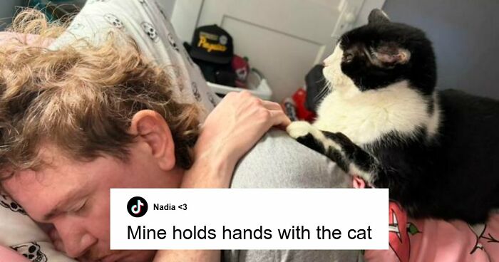 79 People Caught Sleeping In Hilarious And Unhinged Ways