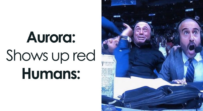 77 Hilarious Memes That Sum Up What It’s Like Living In Alaska