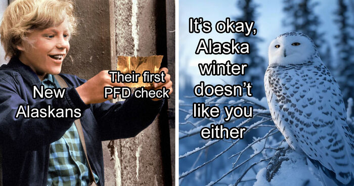 77 Hilarious Memes That Sum Up What It’s Like Living In Alaska