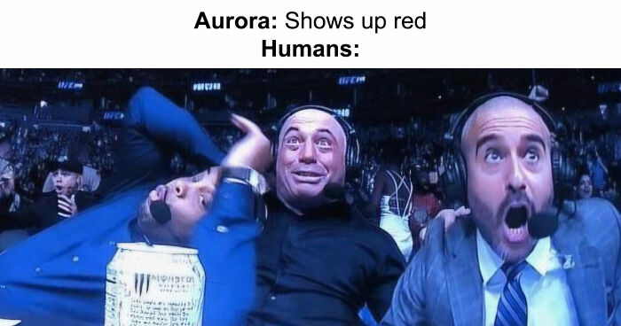 77 Hilarious Memes That Sum Up What It’s Like Living In Alaska