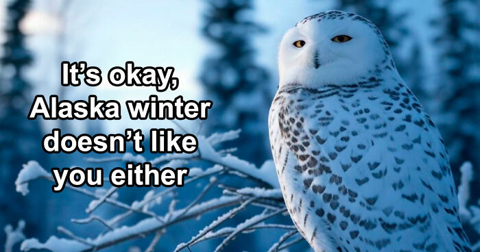 77 Hilarious Memes That Sum Up What It’s Like Living In Alaska