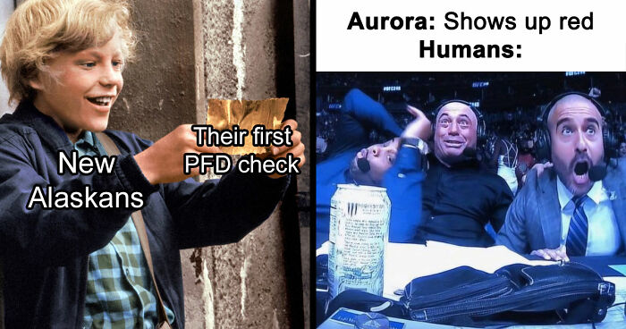 77 Hilarious Memes That Sum Up What It’s Like Living In Alaska