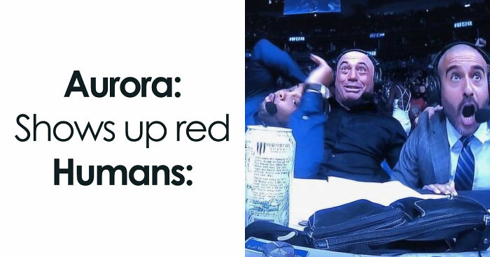 77 Hilarious Memes That Sum Up What It’s Like Living In Alaska