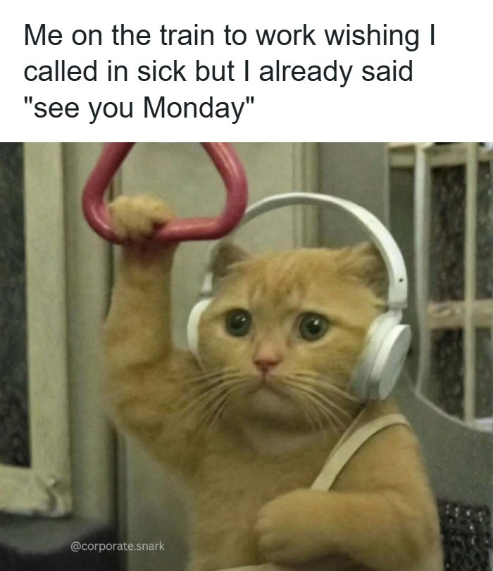 Cat wearing headphones holding train handle, representing work meme about wishing to call in sick but already committed.