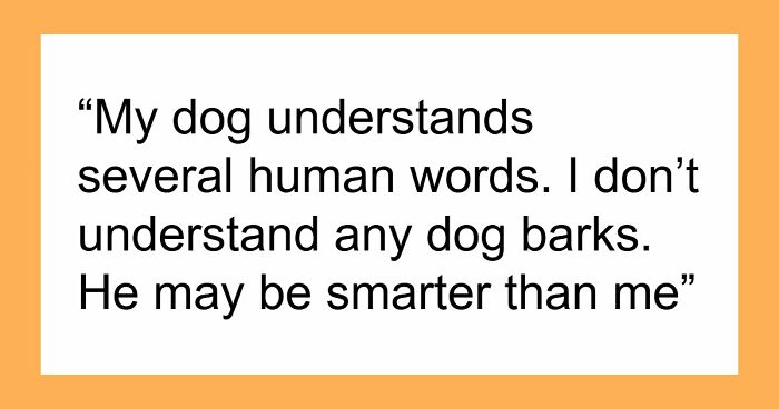 61 Dogs That Just Had To Be Turned Into Memes For Humans