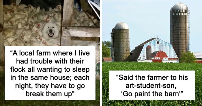 “Live On A Farm, They Said. It Would Be Fun, They Said”: 61 Pics That Won’t Make Sense To City Kids