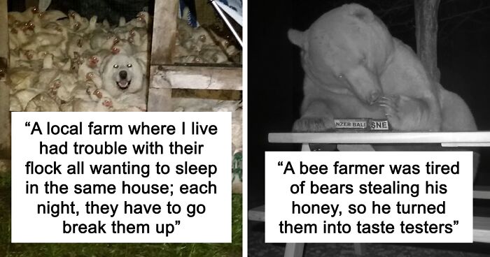 “Live On A Farm, They Said. It Would Be Fun, They Said”: 61 Pics That Won’t Make Sense To City Kids