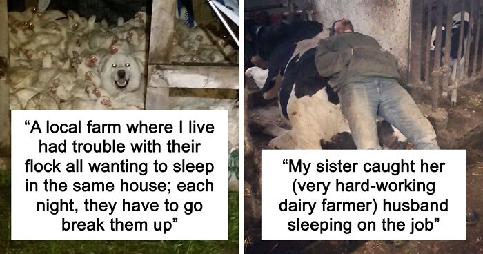 “Live On A Farm, They Said. It Would Be Fun, They Said”: 61 Pics That Won’t Make Sense To City Kids