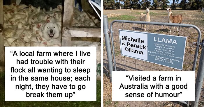 “Live On A Farm, They Said. It Would Be Fun, They Said”: 61 Pics That Won’t Make Sense To City Kids
