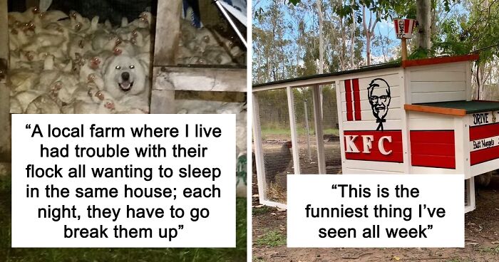 “Live On A Farm, They Said. It Would Be Fun, They Said”: 61 Pics That Won’t Make Sense To City Kids