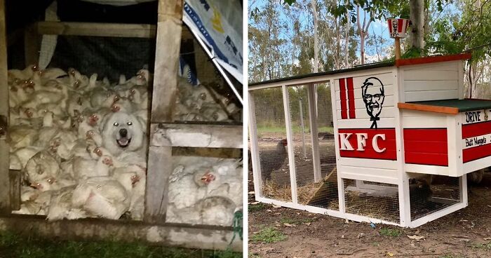 “Live On A Farm, They Said. It Would Be Fun, They Said”: 61 Pics That Won’t Make Sense To City Kids