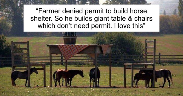 “Live On A Farm, They Said. It Would Be Fun, They Said”: 61 Pics That Won’t Make Sense To City Kids