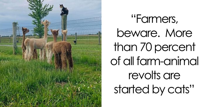 “Live On A Farm, They Said. It Would Be Fun, They Said”: 61 Pics That Won’t Make Sense To City Kids