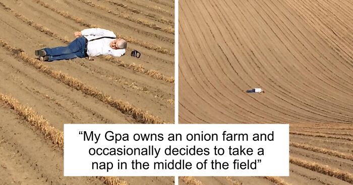 “Live On A Farm, They Said. It Would Be Fun, They Said”: 61 Pics That Won’t Make Sense To City Kids