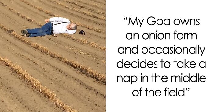 “Live On A Farm, They Said. It Would Be Fun, They Said”: 61 Pics That Won’t Make Sense To City Kids