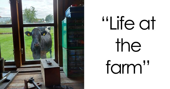 “Live On A Farm, They Said. It Would Be Fun, They Said”: 61 Pics That Won’t Make Sense To City Kids